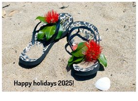 Jandals on beach with pohutakawa flowers - New Zealand Christmas scene