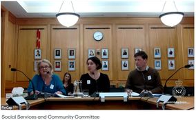 Fleur Howard, Teresa White and Jake Lilley speaking to the Social Services and Community Committee on 13 May 2026.